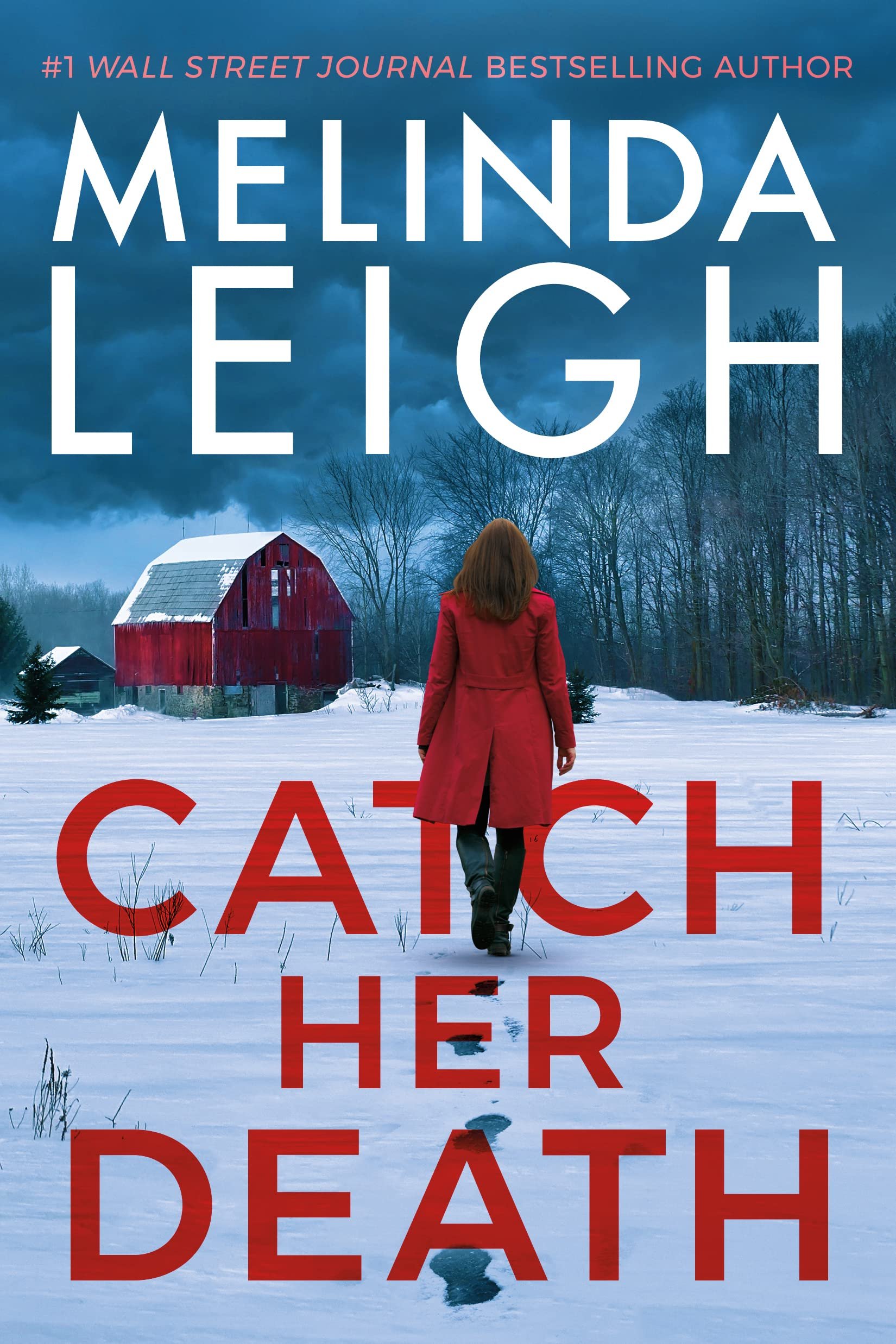 Catch Her Death (Bree Taggert Book 7) Cover